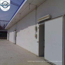 CACR-16 Professional Controlled Atmosphäre Kühlraum Kühlraum für den Großhandel